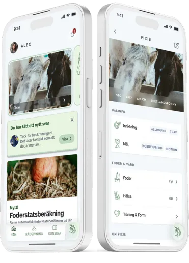 HayHay-appen på två mobiler